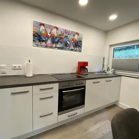 Apartament Haus Am Iberg 4 Willingen  Zewnętrze zdjęcie