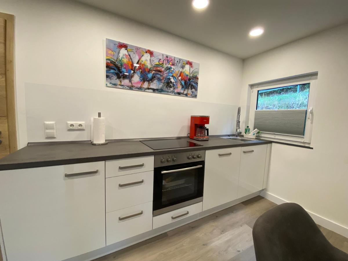 Apartment Haus Am Iberg 4 Willingen (Upland)