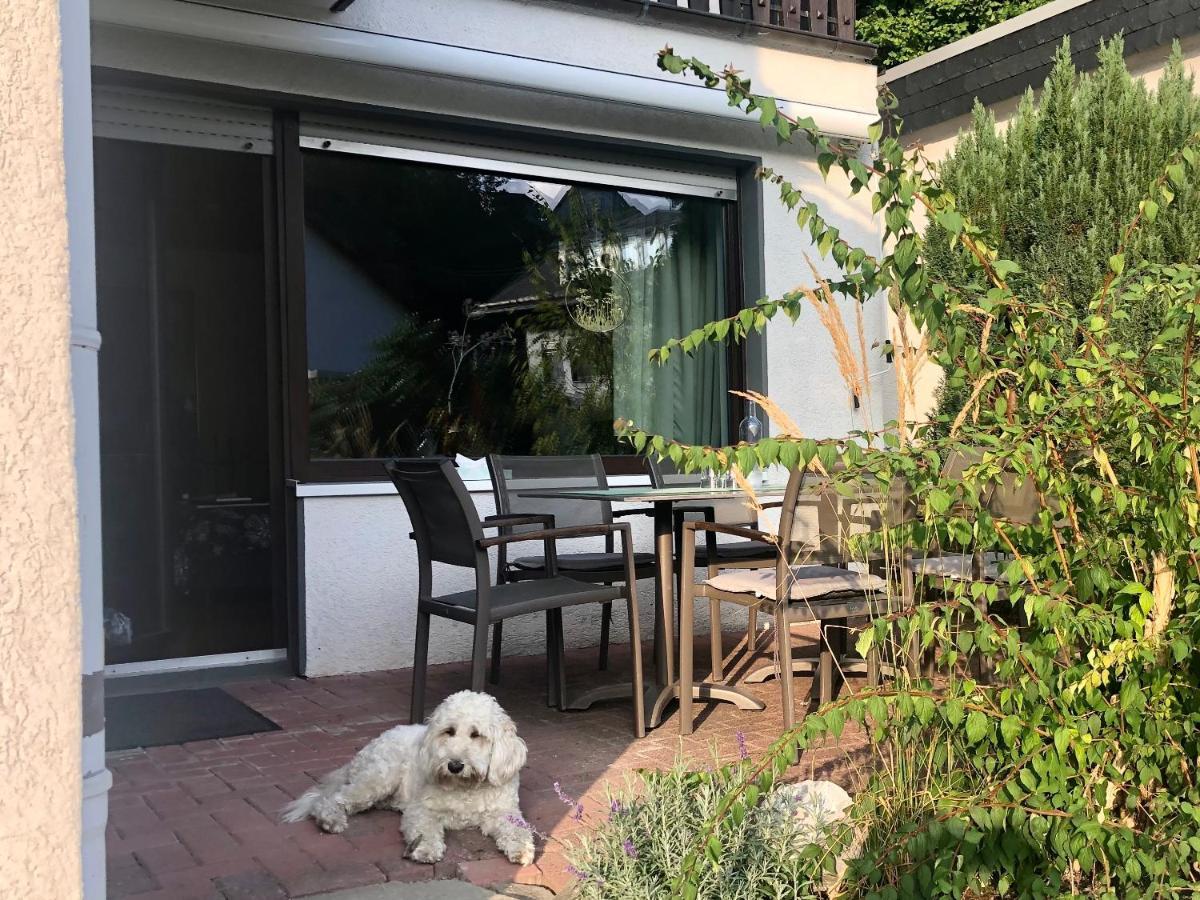 Apartment Haus Am Iberg 4